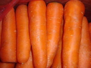 Chinese New Crop Fresh Red Carrot with High Quality