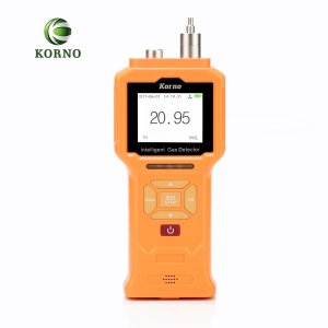 Ce Approved IP66 Oxygen Gas Detector for Breathing-Protect (O2)